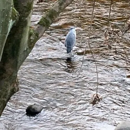 펜션 Daleside 리치먼드